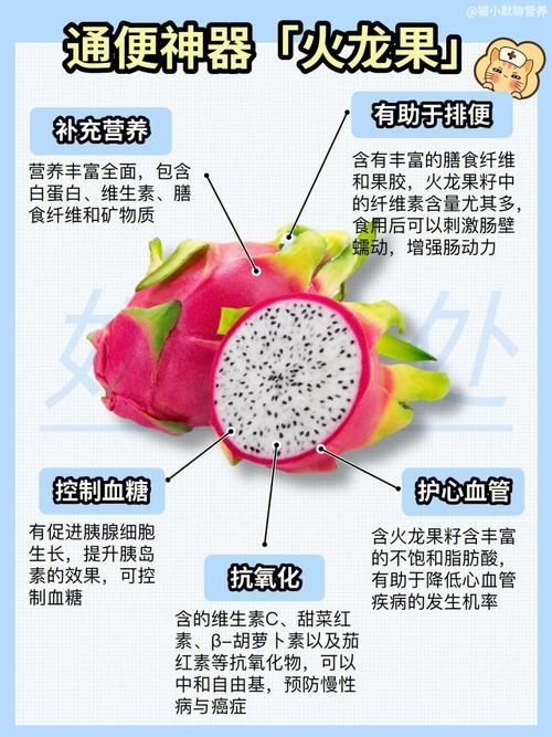 紅龍食物營養(yǎng)成分分析