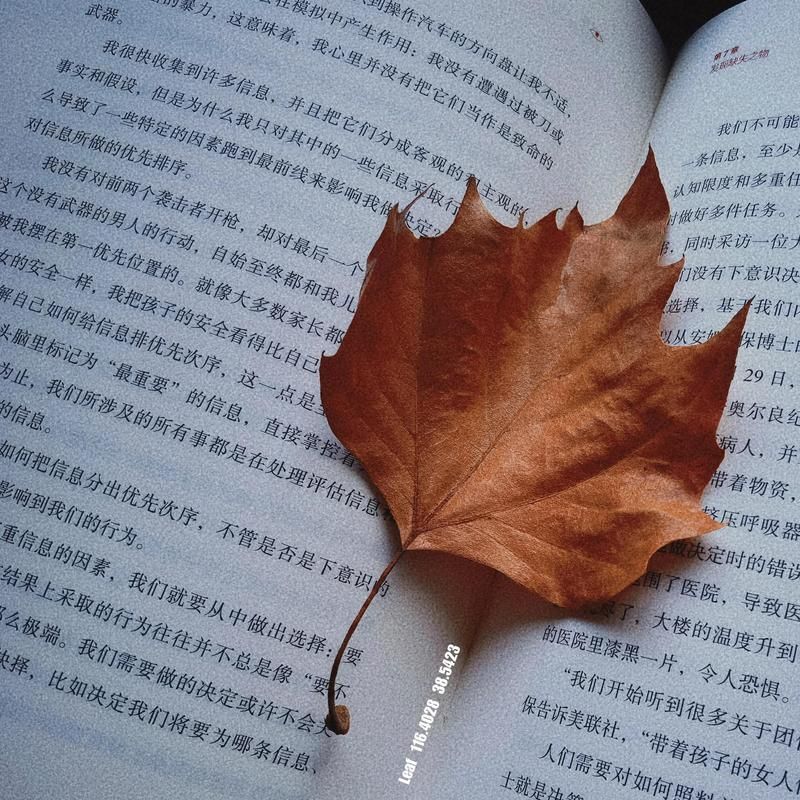 小龍哥漁場是否位于任丘市，小龍哥漁場是否位于任丘市，