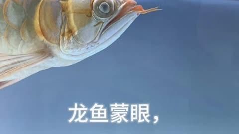 龍魚蒙眼病能完全治愈嗎，養(yǎng)龍魚新手必要懂龍魚蒙眼病治療方法及治療方法