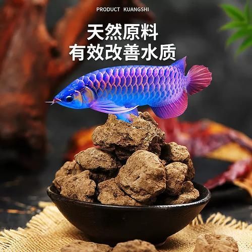 如何選擇適合龍魚的發(fā)色餌料？，如何選擇適合龍魚的發(fā)色餌料