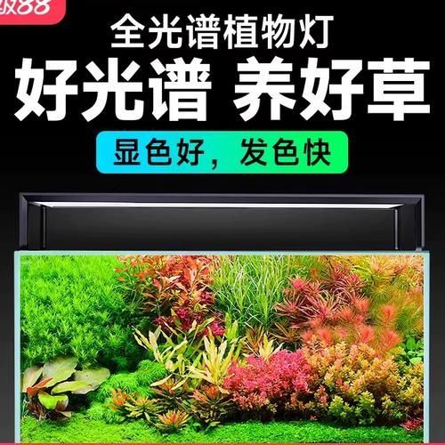 推薦幾款性價比高的魚缸LED燈，推薦幾款性價比高的魚缸led燈
