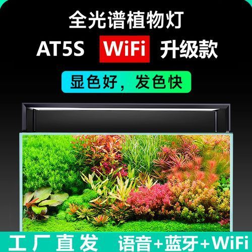 推薦幾款性價比高的魚缸LED燈，推薦幾款性價比高的魚缸led燈