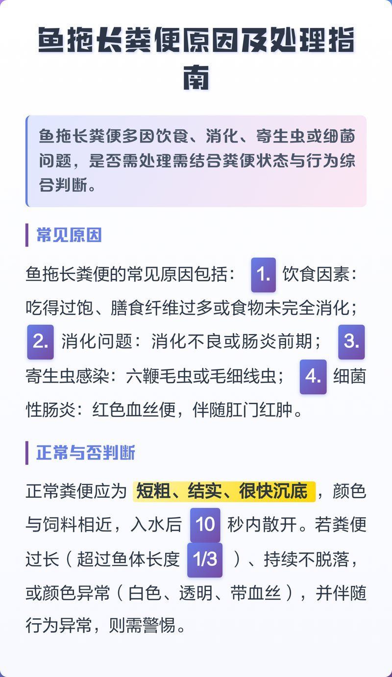 龍魚拖便后多久會(huì)恢復(fù)，龍魚拖便后多久會(huì)恢復(fù)？
