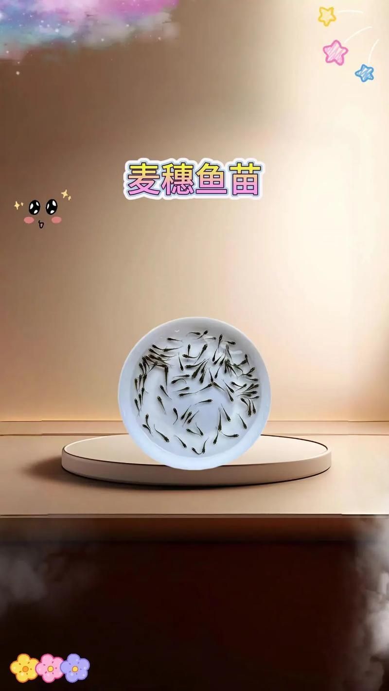 有哪些龍魚餌料是必須嘗試的？，龍魚餌料喂養技巧