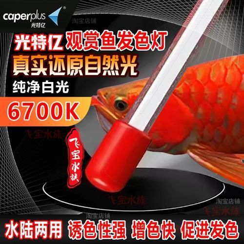 龍魚缸用什么顏色的燈管最顯高檔？，高端龍魚燈品牌對比表，幫你快速鎖定最適合你魚缸的那一款