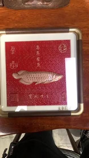 有哪些知名的金龍魚壁紙設計師，金龍魚壁紙設計師