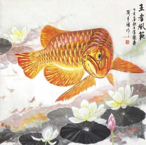 有哪些知名的金龍魚壁紙設計師，金龍魚壁紙設計師