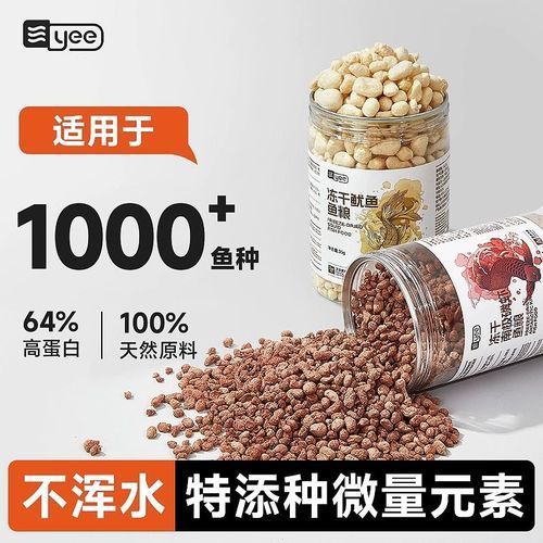 魷龍魚(yú)的價(jià)格是多少？，食用魷魚(yú)與觀賞龍魚(yú)的價(jià)格對(duì)比表，魷龍魚(yú)的價(jià)格對(duì)比表