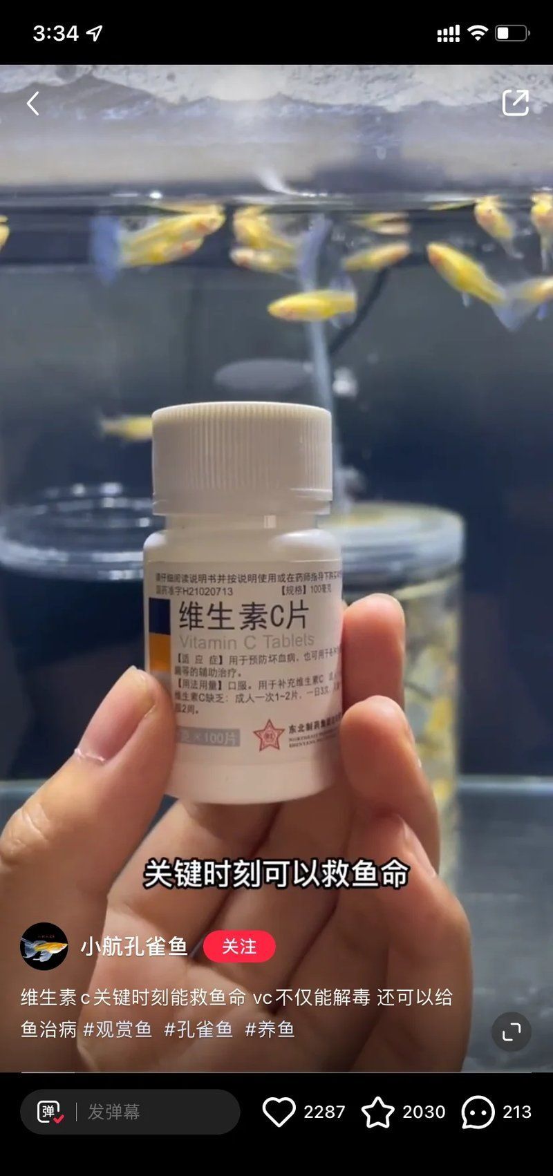 龍魚爛尾期間如何投喂，加速龍魚爛尾期間，如何投喂，用戶要求詳解