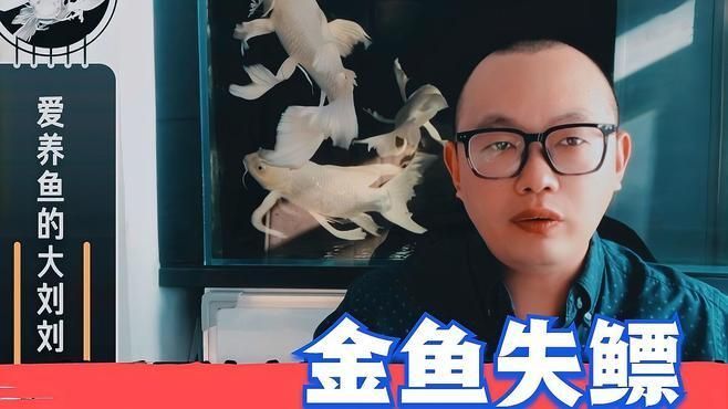有哪些方法可以治療金魚的失鰾癥，如何治療金魚失鰾癥