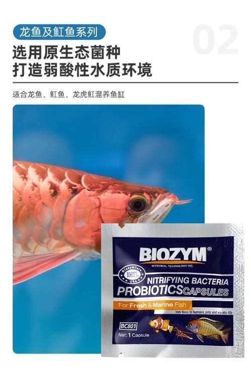 哪些品牌的龍魚益生菌評價最好？，關于龍魚益生菌品牌的評價