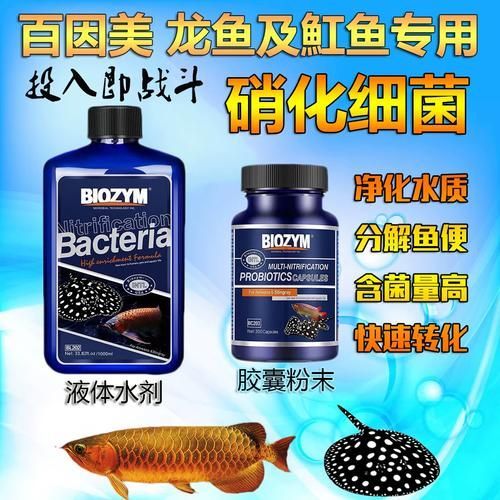哪些品牌的龍魚益生菌評價最好？，關于龍魚益生菌品牌的評價