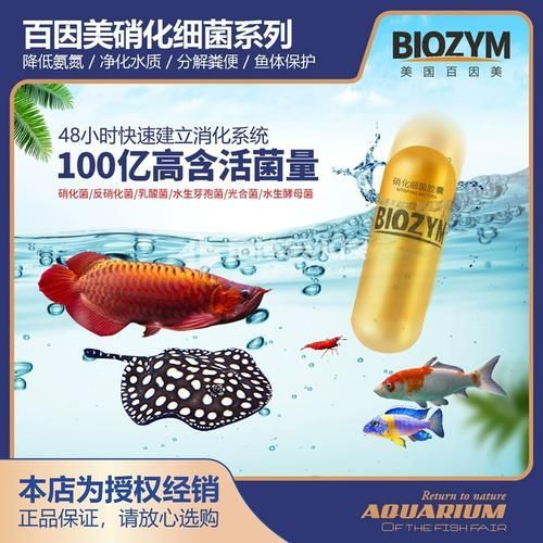 哪些品牌的龍魚益生菌評價最好？，關于龍魚益生菌品牌的評價