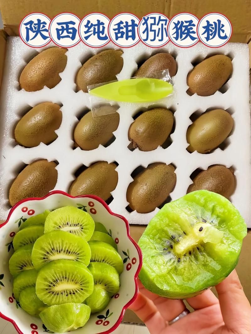 鹽療期間哪些食物最適合