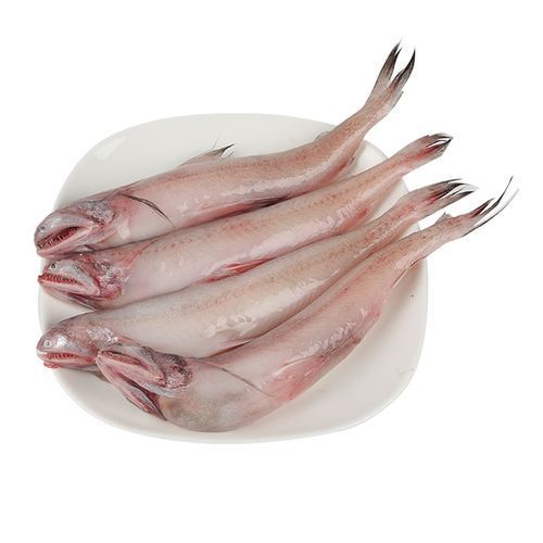 給我一些關(guān)于梅里斯達(dá)斡爾族龍魚的圖片，梅里斯達(dá)斡爾族龍魚是什么，