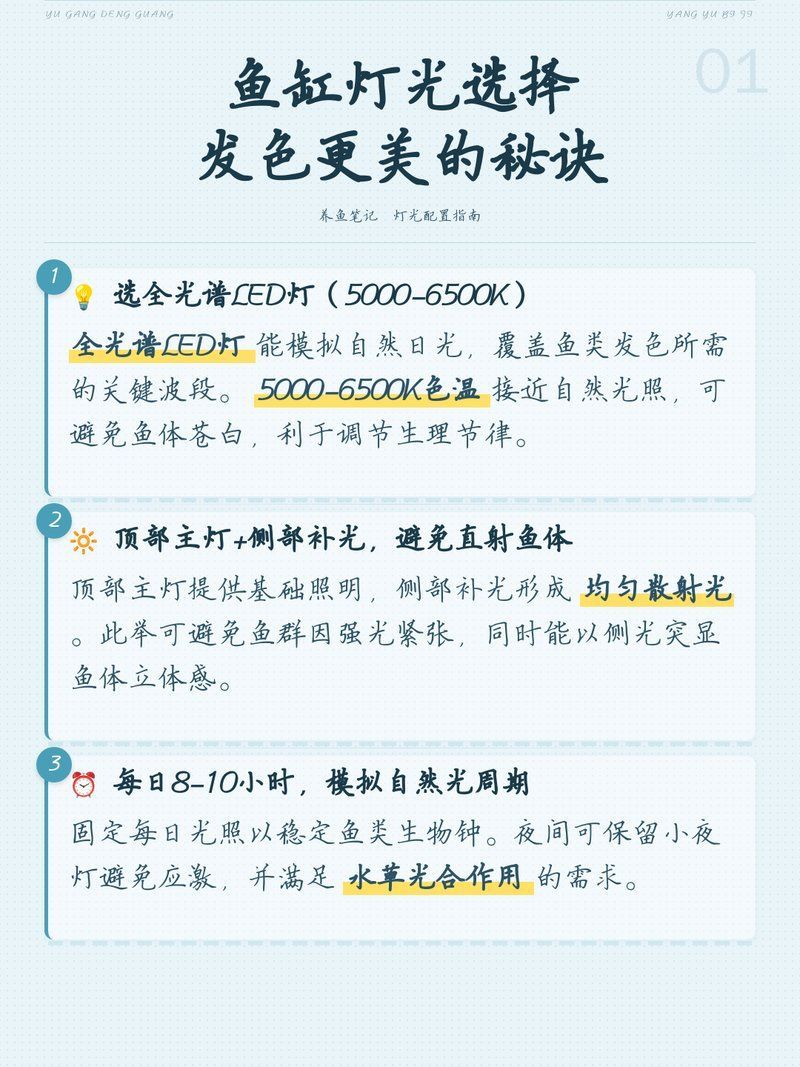 如何優化魚缸的燈光效果，如何優化魚缸的燈光效果,魚缸燈光不僅是觀賞的“點睛之筆”