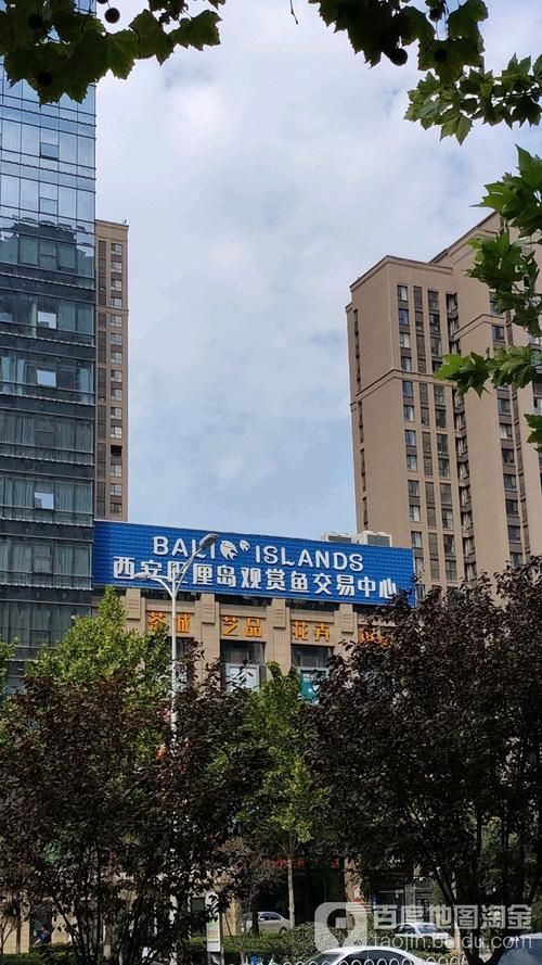 如何前往西安觀賞魚批發市場，前往西安觀賞魚批發市場的簡要指南