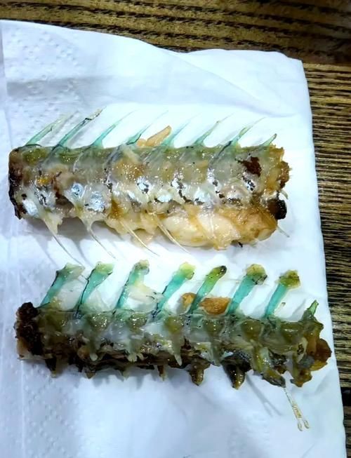 哪些藥物對特定魚種不安全，哪些藥物對特定魚種不安全思考完成（1000字并配圖）