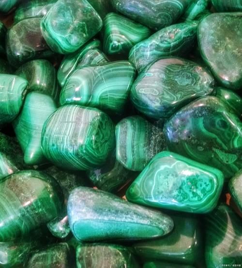 哪些藥物對特定魚種不安全，哪些藥物對特定魚種不安全思考完成（1000字并配圖）