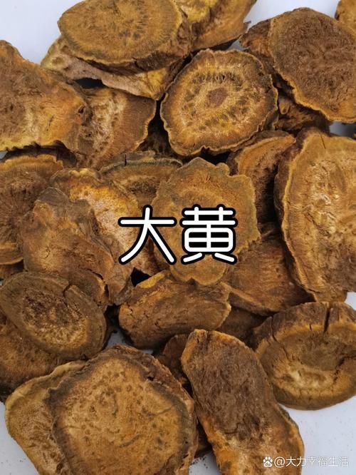 哪些中藥可以有效治療龍魚鰓寄？，哪些中藥可以有效治療龍魚
