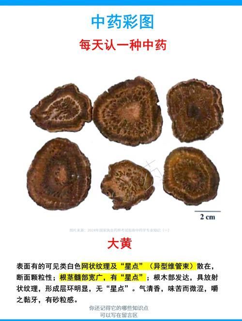哪些中藥可以有效治療龍魚鰓寄？，哪些中藥可以有效治療龍魚
