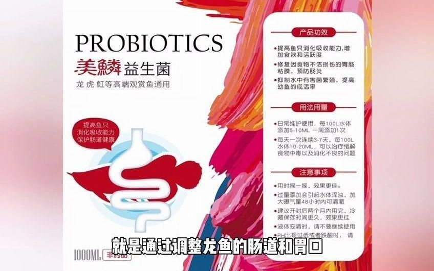 龍魚厭食時應該如何調理，龍魚厭食如何調理