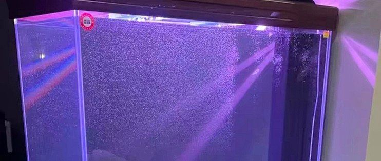 給我推薦幾款好看的龍魚缸
