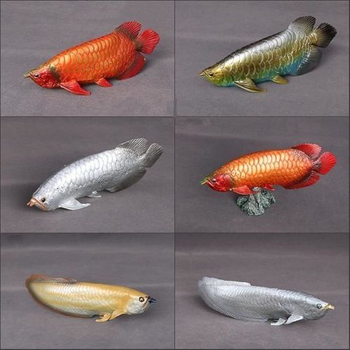 如何改善龍魚的水質(zhì)以預(yù)防胡須彎曲？，如何改善龍魚的水質(zhì)