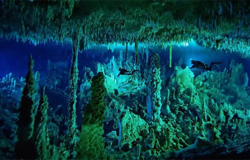 沙龍魚在游戲中的習性如何？，《怪物獵人》之沙龍魚