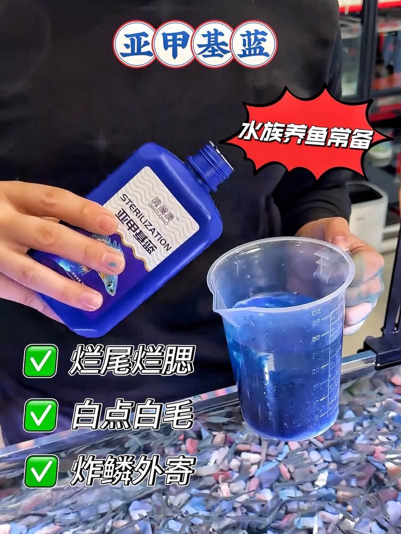 如何預防金魚再次潰爛，如何科學預防金魚再次潰爛
