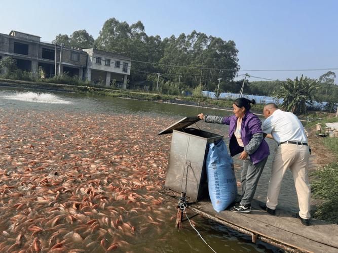 給我一些紅色魚類的養殖知識