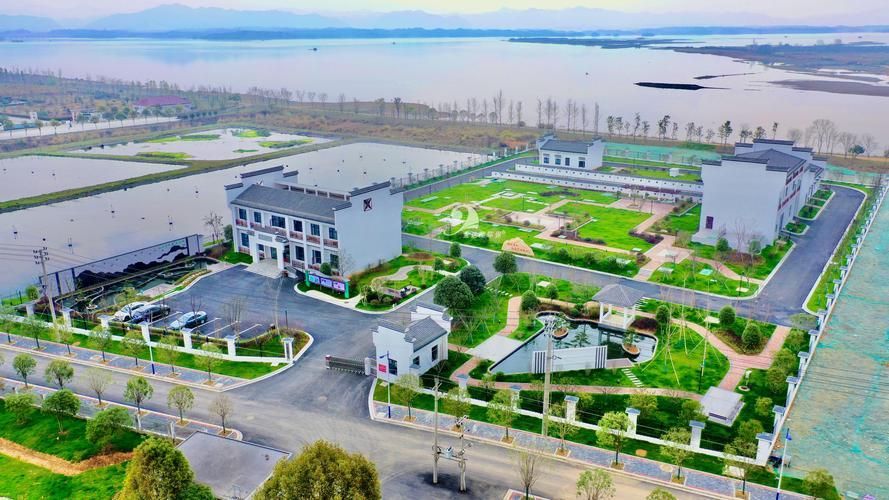 肥東龍魚養殖有哪些成功案例，肥東縣龍魚養殖業成功案例集中體現“肥東龍魚養殖”成功案例