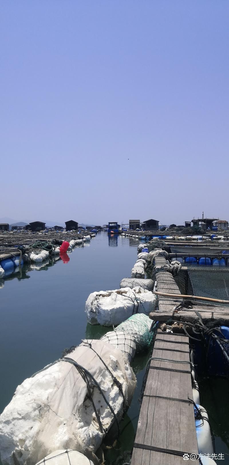 肥東龍魚養殖有哪些成功案例，肥東縣龍魚養殖業成功案例集中體現“肥東龍魚養殖”成功案例