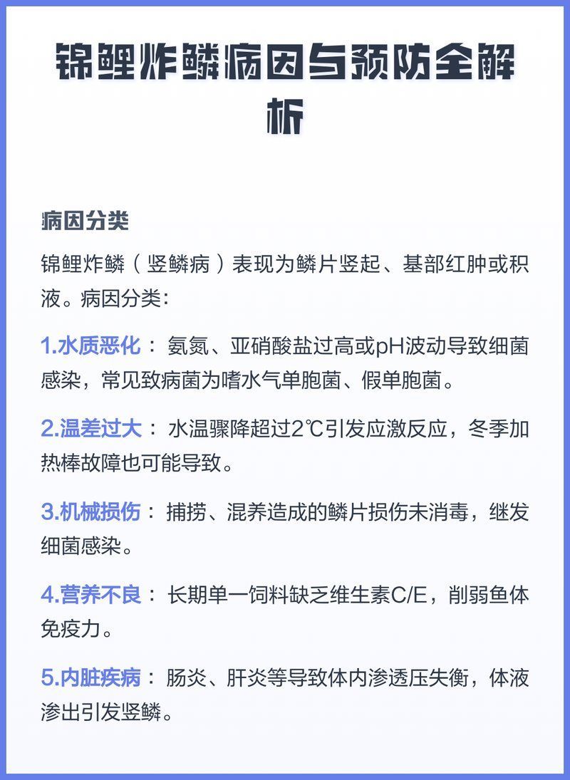 如何預防錦鯉炸鱗病