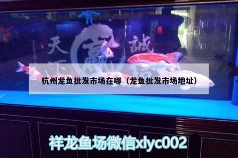 龍魚寄生蟲最忌三種東西,龍魚寄生蟲最忌的三種東西