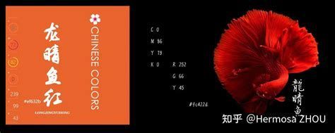 龍睛魚是兇魚還是吉魚，龍睛魚是兇魚還是吉魚，龍睛魚的吉兇詳解