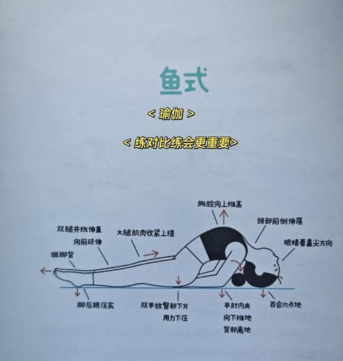 如何預(yù)防魚再次被咬傷，如何預(yù)防魚再次被咬傷調(diào)用工具arxiv論文助手