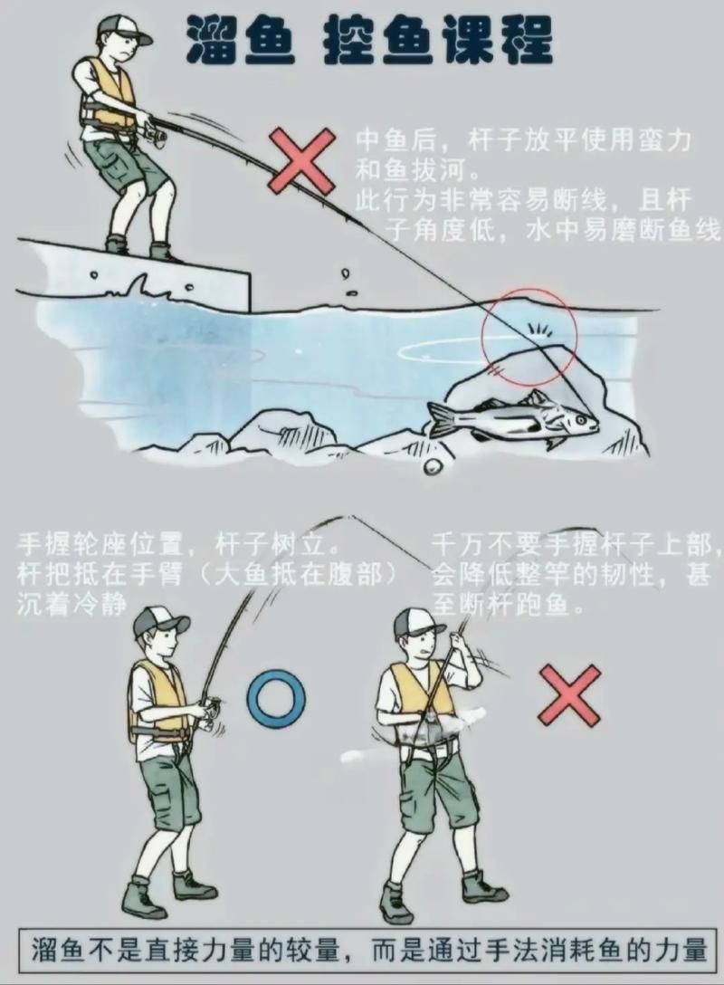 如何預(yù)防魚再次被咬傷，如何預(yù)防魚再次被咬傷調(diào)用工具arxiv論文助手