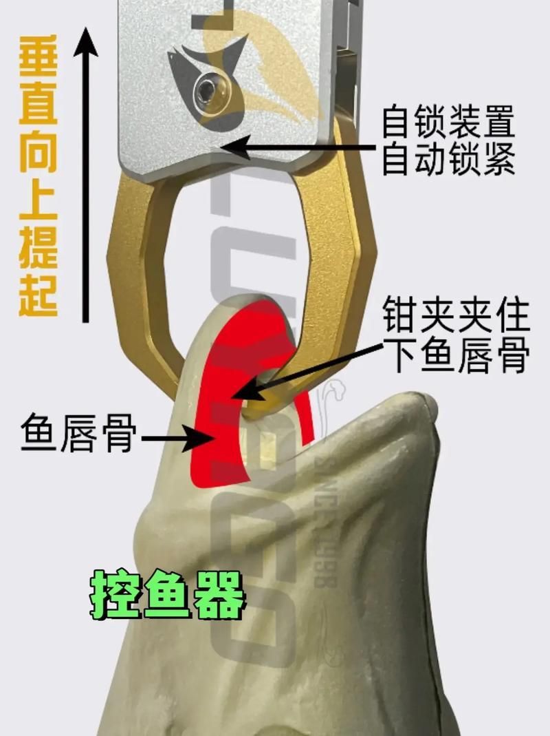 如何預(yù)防魚再次被咬傷，如何預(yù)防魚再次被咬傷調(diào)用工具arxiv論文助手