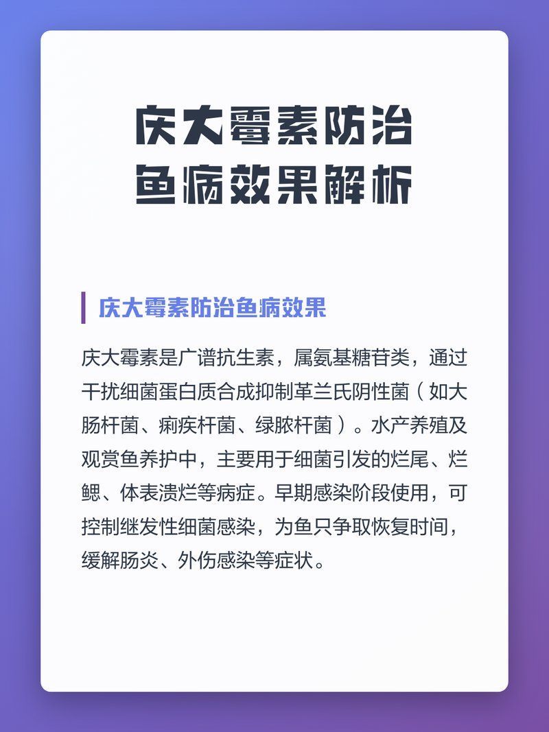 海水魚細菌感染如何治療，海水魚細菌感染如弧菌感染如弧菌感染如弧菌感染