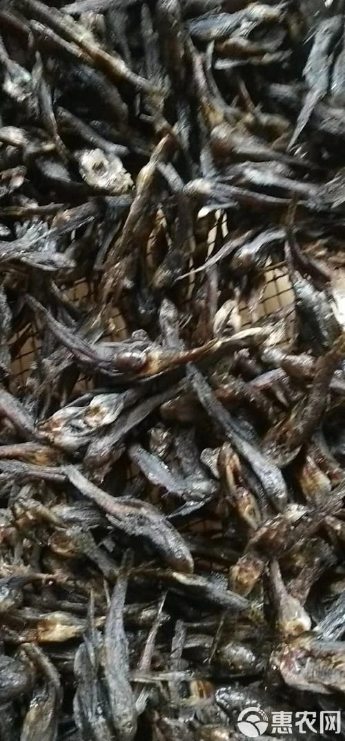 給我介紹一下石阡龍魚的品牌背景，石阡龍魚品牌背景
