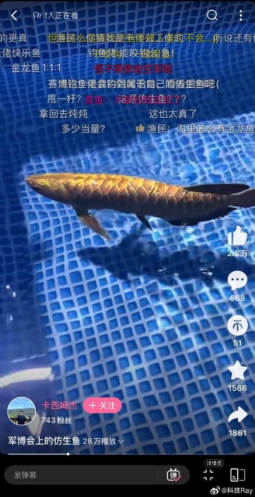 如何辨別真假高價觀賞魚
