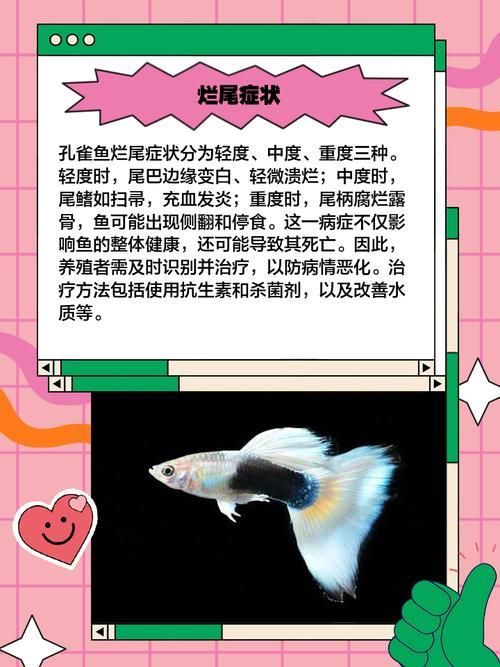 如何預防魚類爛尾病的發生，arxiv論文助手預防魚類爛尾病系統性綜合指南