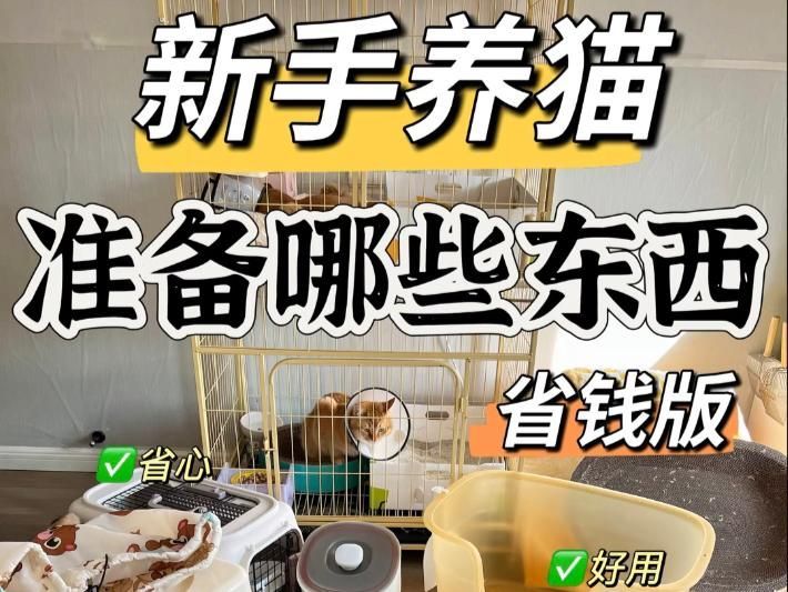 有哪些寵物是適合初學者的，初學者適合養什么寵物萌寵百科show