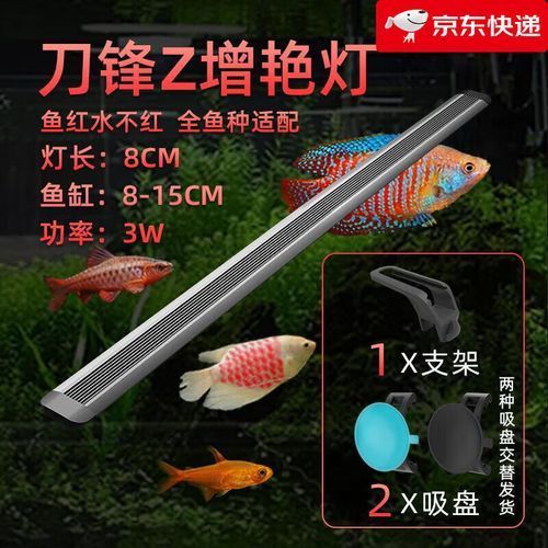 推薦幾款適合龍魚的光照設備，幾款適合龍魚的光照設備