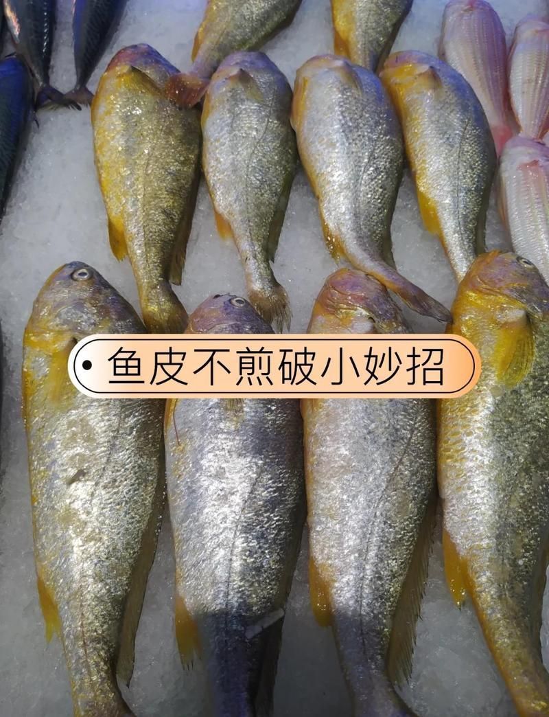 如何預防魚破皮，預防魚破皮的方法