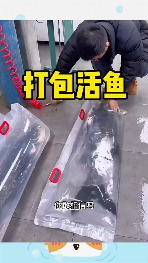 如何聯(lián)系漁場(chǎng)獲取幼魚？，如何聯(lián)系漁場(chǎng)獲取幼魚