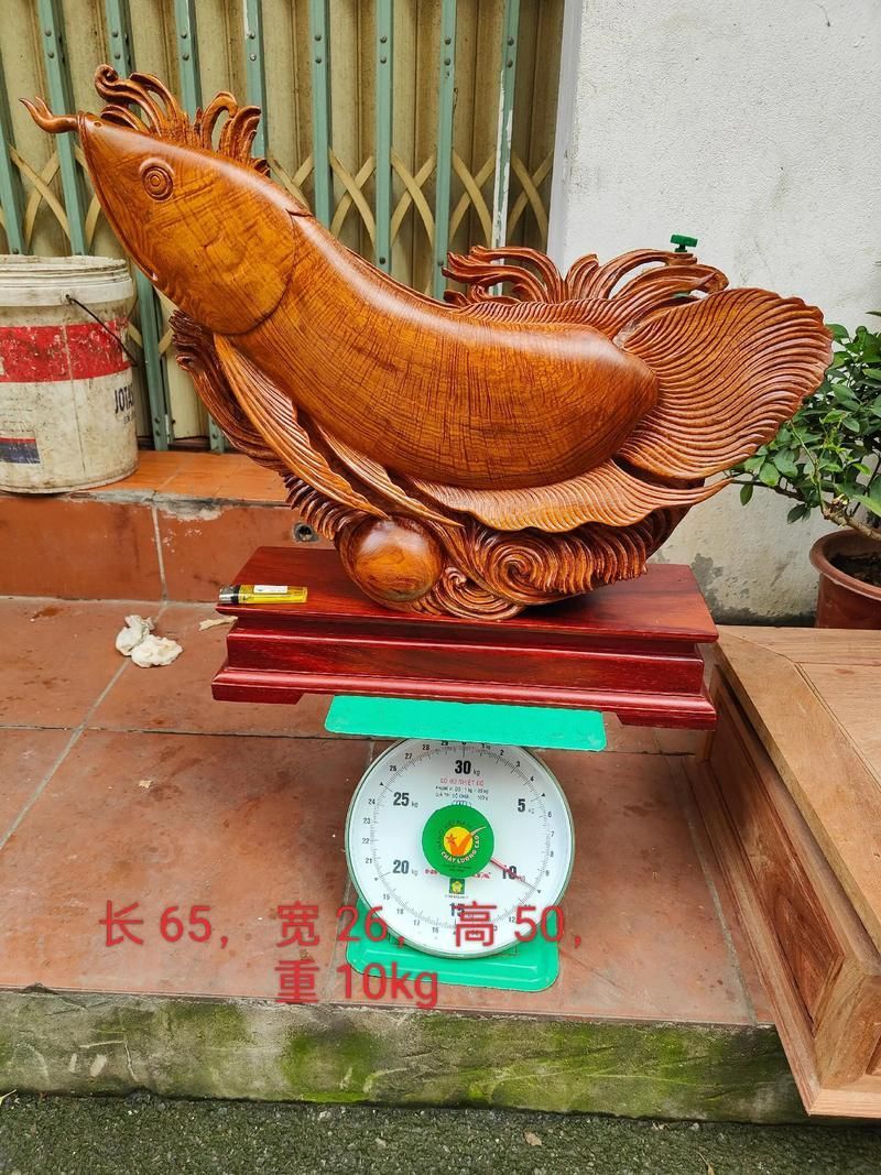 能否提供更多關于龍魚的美好寓意圖片，關于龍魚的美好寓意圖片