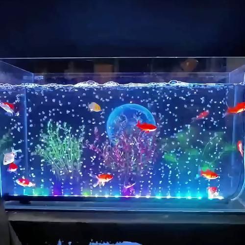 如何選擇高顯色率的LED燈養(yǎng)龍魚？，如何選擇高顯色率led燈