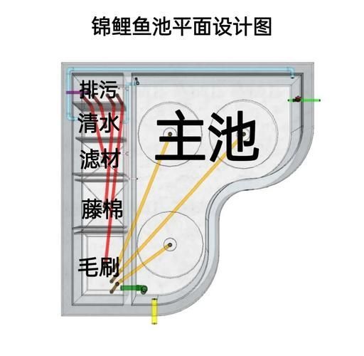 祥龍魚場的加盟流程是怎樣的？，祥龍魚場的加盟流程是怎樣的祥龍魚場加盟流程是怎樣的